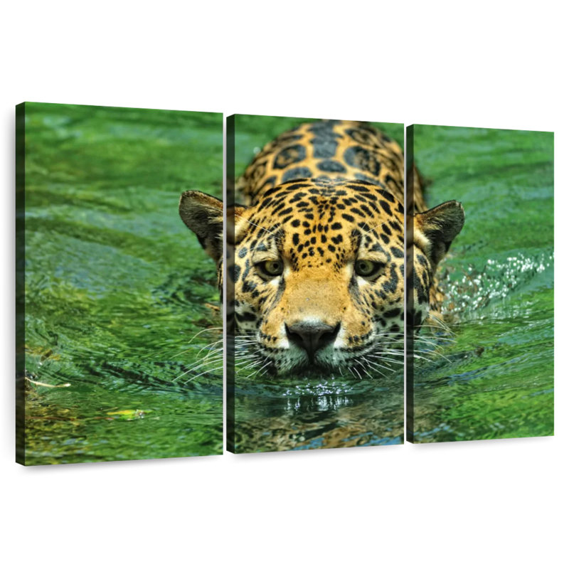 Brampt Swimming Jaguar, 24" H x 38" W