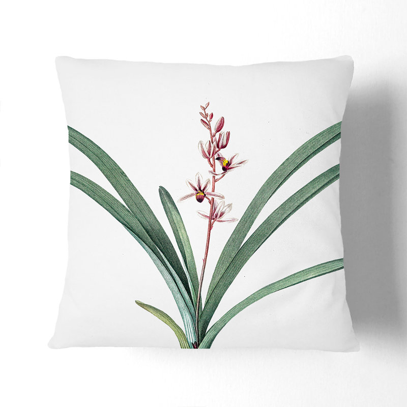 Boat Orchid Flowers Floral Square Throw Cushion, White, 40cm H x 40cm W x 15cm D