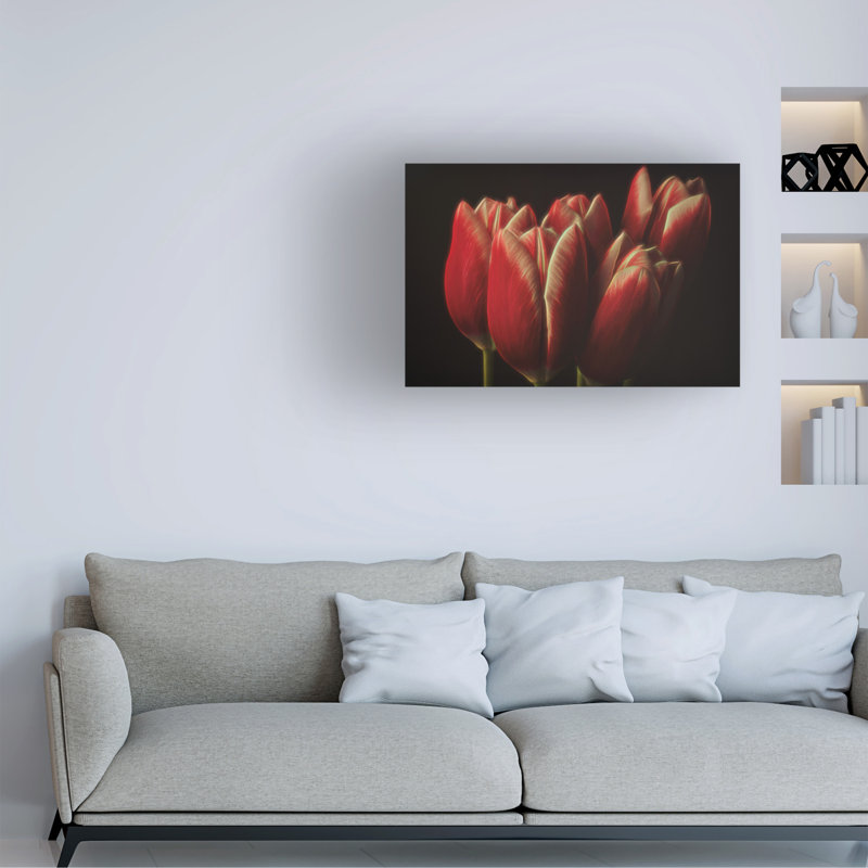 Art sur toile, Bolo, H 12 po x l 19 po