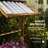 Raised Garden Bed