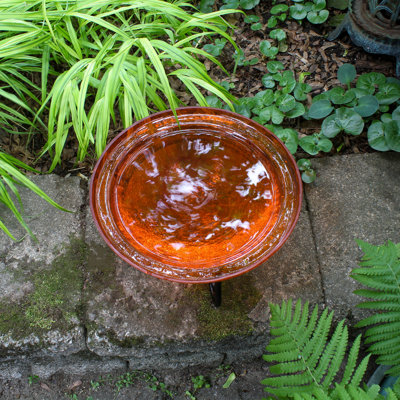 Vitya Fern Crackle Birdbath