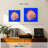Brampt Exotic Discus Fish