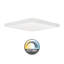 Debora LED Flush Mount