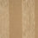 Allure Fabric