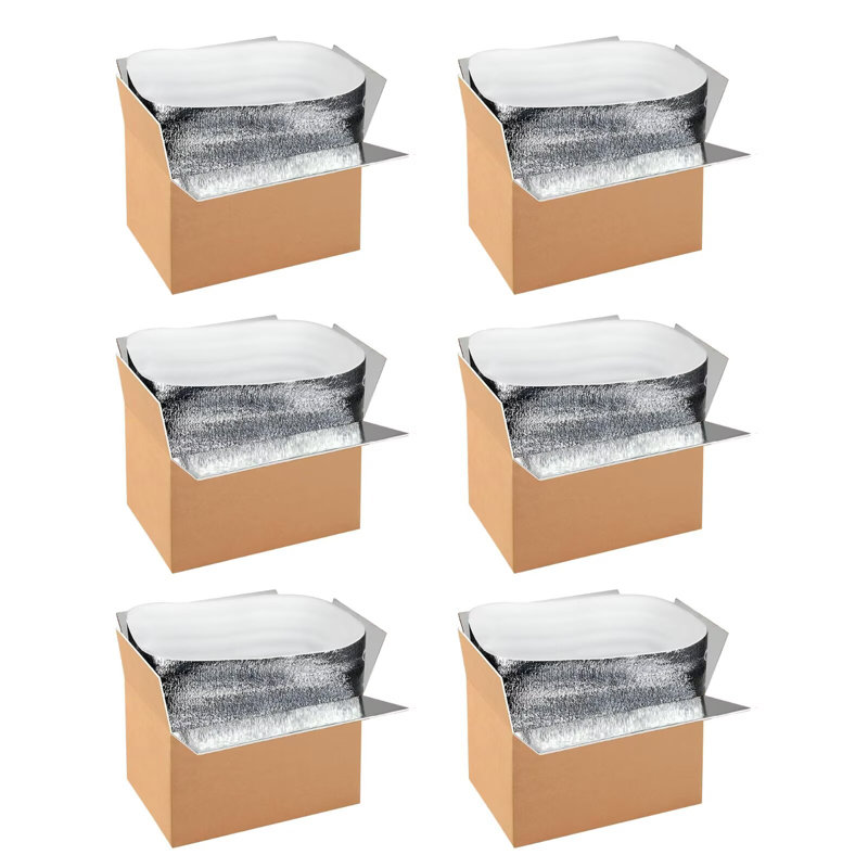  6 Pack 12 Inch x10 Inch x7 Inch Insulated Shipping Boxes with Aluminum Foil Liner,Thermal Insulation Cold Pack Shipping Boxes for Frozen , Reusable Styrofoam Cooler Box, Small Mailing Box