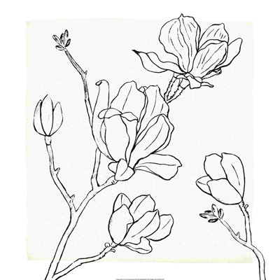 " Floral Stems Background "