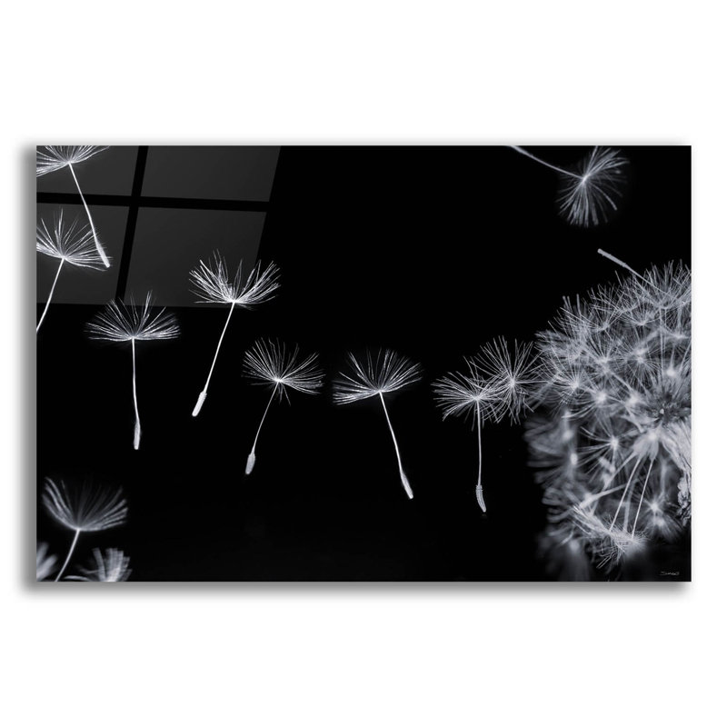 Dandy Macro 18 sur plastique / acrylique par Gordon Semmens, H 12 po x l 16 po x P 0,13 po