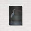"Grande aigrette" par Ron Parker-1927848571