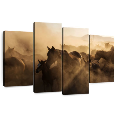 Brampt, chevaux sauvages au coucher du soleil