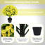 24 po Gloire matinale artificielle jaune avec eucalyptus, arrangement floral artificiel dans un pot noir-401407775