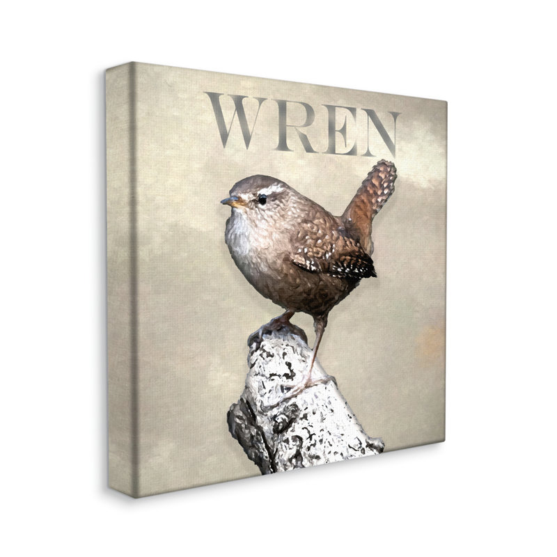 «Wren Bird debout» par Alpenglow Workshop - impression sur toile tendue, H 17 po x l 17 po x P 1,5 po