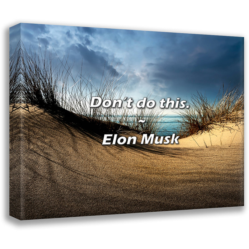 Citation Elon Musk: ne faites pas cela., H 20 po x l 24 po