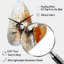 Horloge murale orange orange abstraite, impression fractale - fractales-104237979