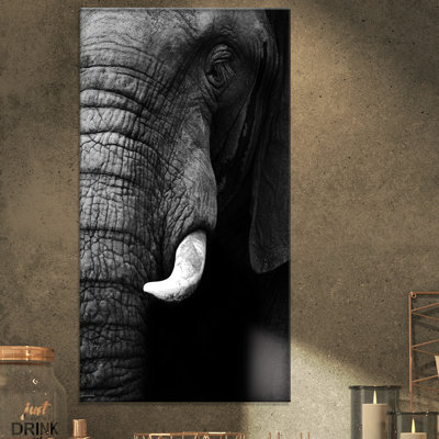 « éléphant head close up », reproduction de photo sur toile tendue