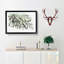 The Olive Branch - Framed Print-55611683-55611686