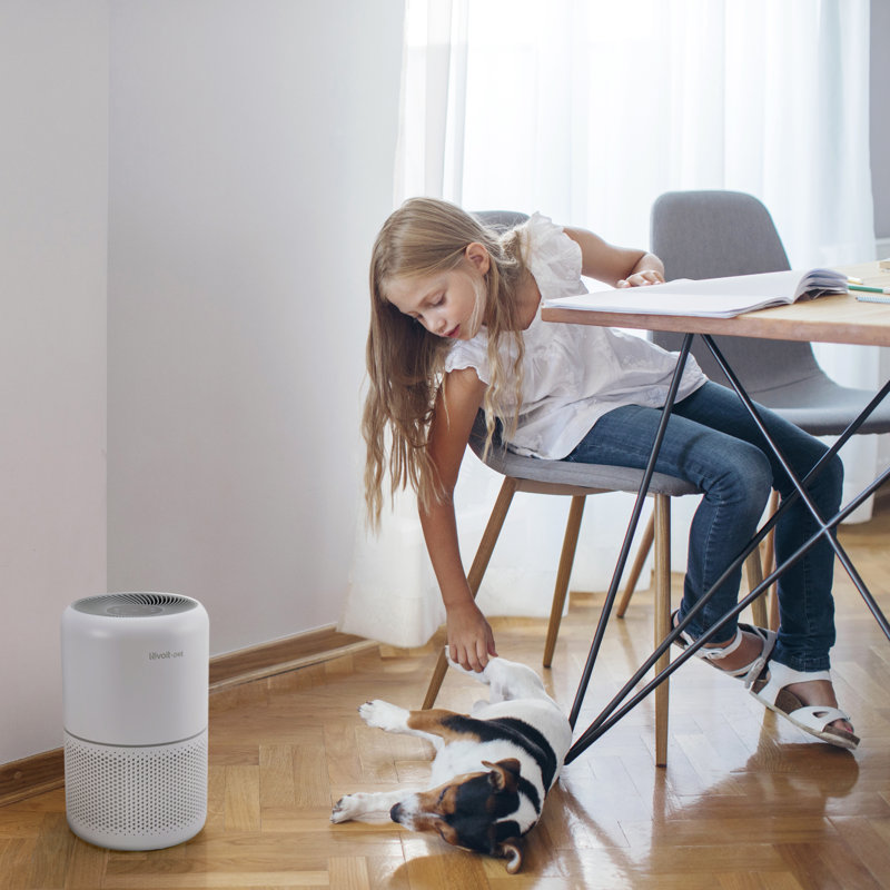 Levoit White True HEPA Pet Care Air Purifier