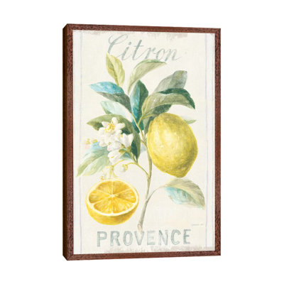 Floursack Lemon IV by Danhui Nai - Painting on Canvas
