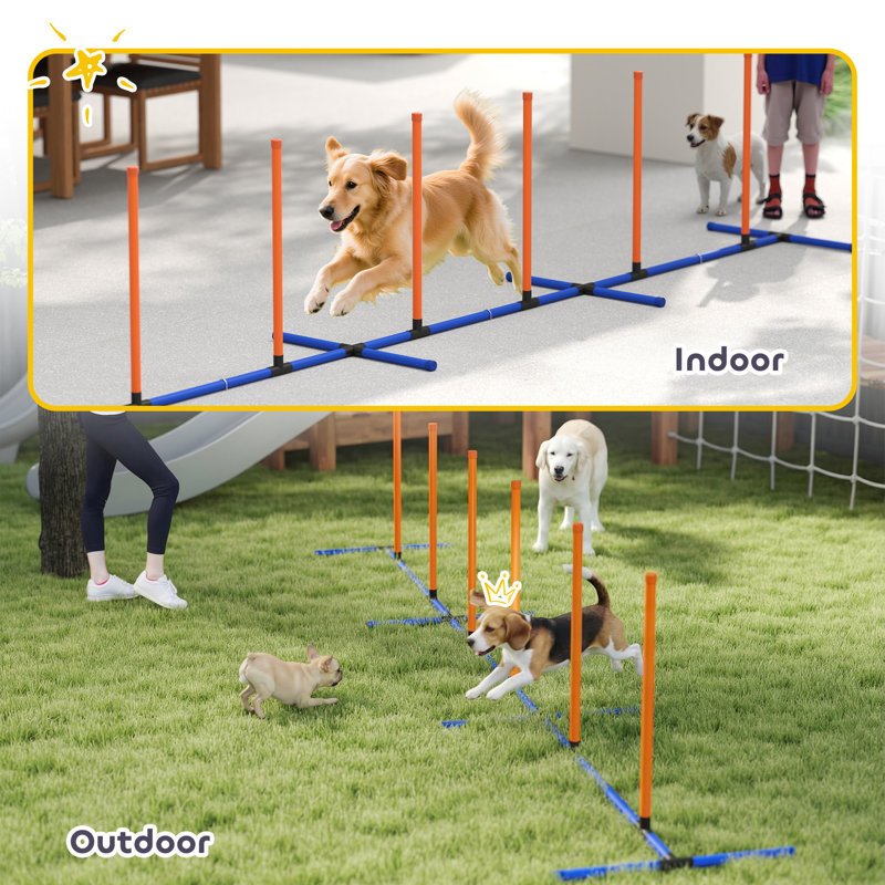 Équipement de dressage réglable pour chien, jeu de terrain pour chien avec poteaux, sac de transport et piquets de sol pour les jeux de parc animalier