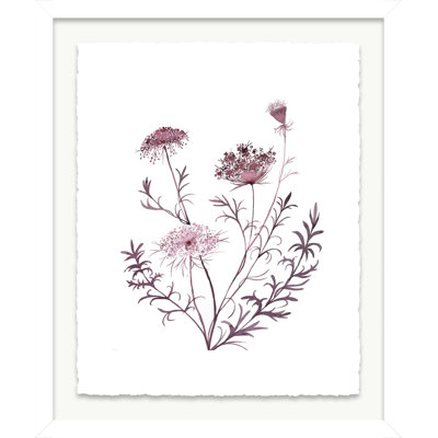 Queen Anne's Lace No. 20