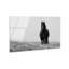 Lone Stallion I Print-209412657-209412671