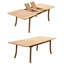 Olmead Outdoor 11 - Piece Teak Dining Set-1709136343-1631006056
