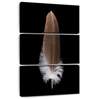 Plume brune Kerner Eagle