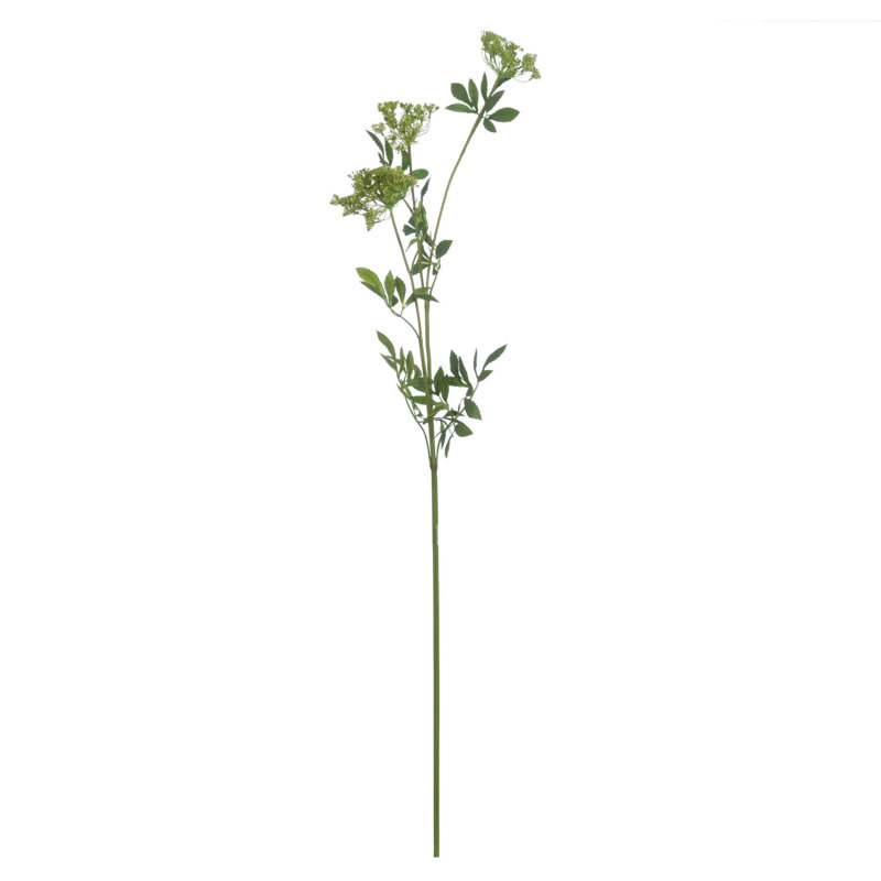 Anastasija Arrangement