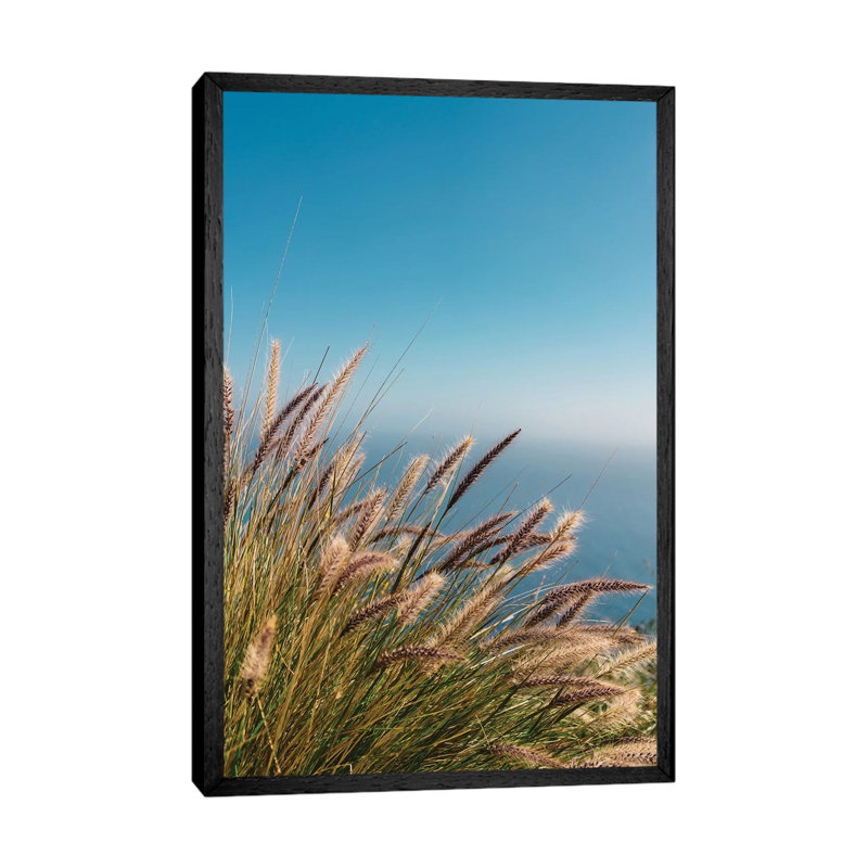 Wild Big Sur II by Bethany Young - Print on Canvas, 101.6cm H x 66.04cm W x 3.81cm D, Black Framed