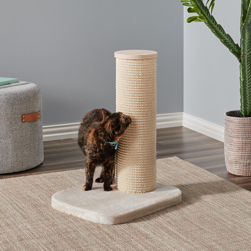 Farrell 24.4 " H Cat Scratching Post, Beige