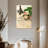 Hardie Roses On French Postcards-108523594