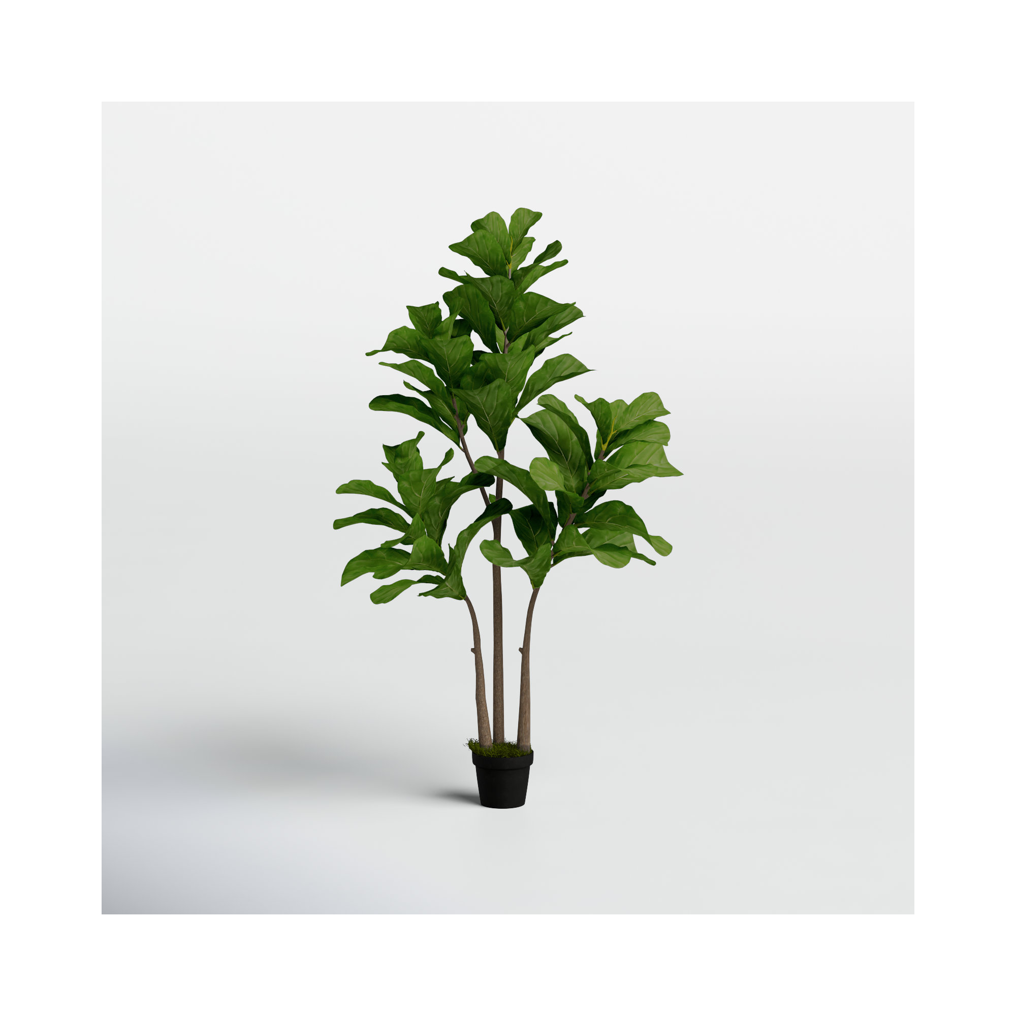Joss & Main Fiddle Leaf Fig Tree - Thumbnail 5