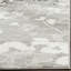 Davonn Floral Silver Area Rug-22789357