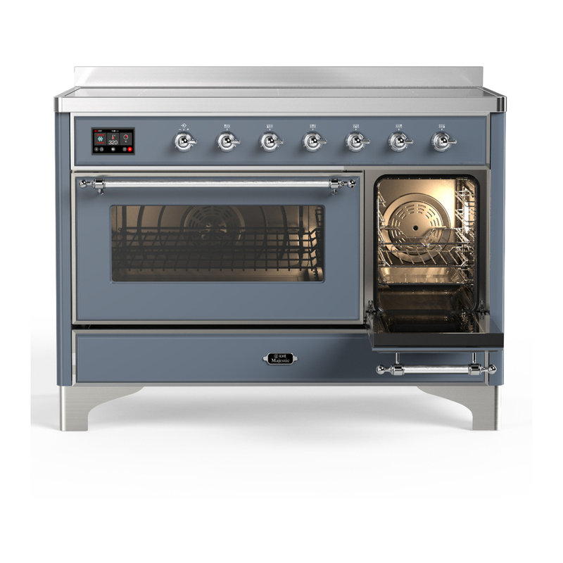 Majestic III Series 48 Inch Induction Range with 6 Induction Elements in Matte Graphite (Brass Trim), Blue Gray, Chrome