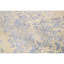 Brookhaven Oriental Area Rug