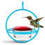 Mangeoire à colibris dieball-1096890470