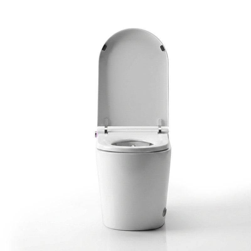 Smart Bidet Toilet With Heated Seat, Foot Sensor