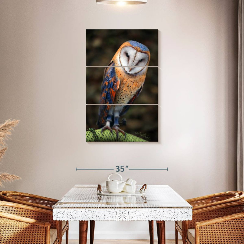 Brampt Heart-Shaped Face Barn Owl, 45" H x 28" W