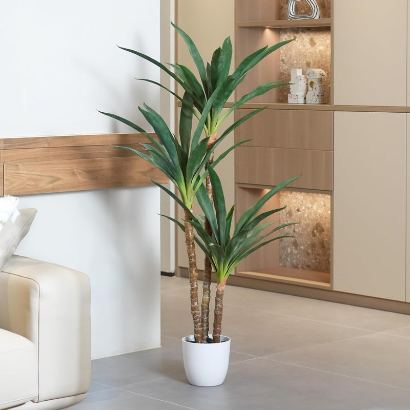57 plantes