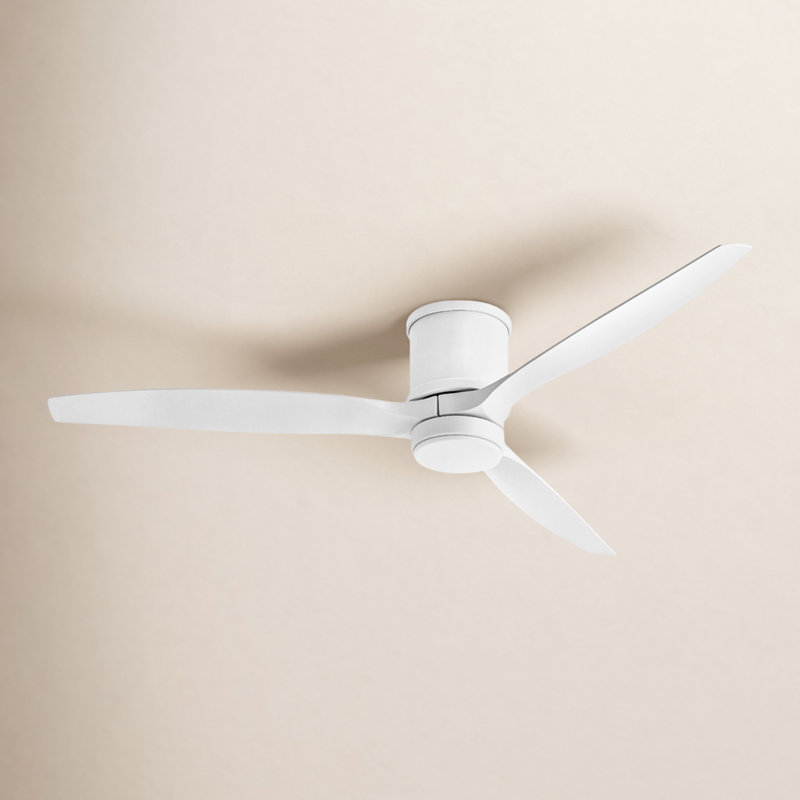 Ventilateur de plafond extérieur standard à DEL à 3 pales de 60 po avec commande murale et ensemble d'éclairage Antonia