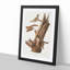Flying Squirrels by J.W. Audubon - Framed Print-55576123-55576127
