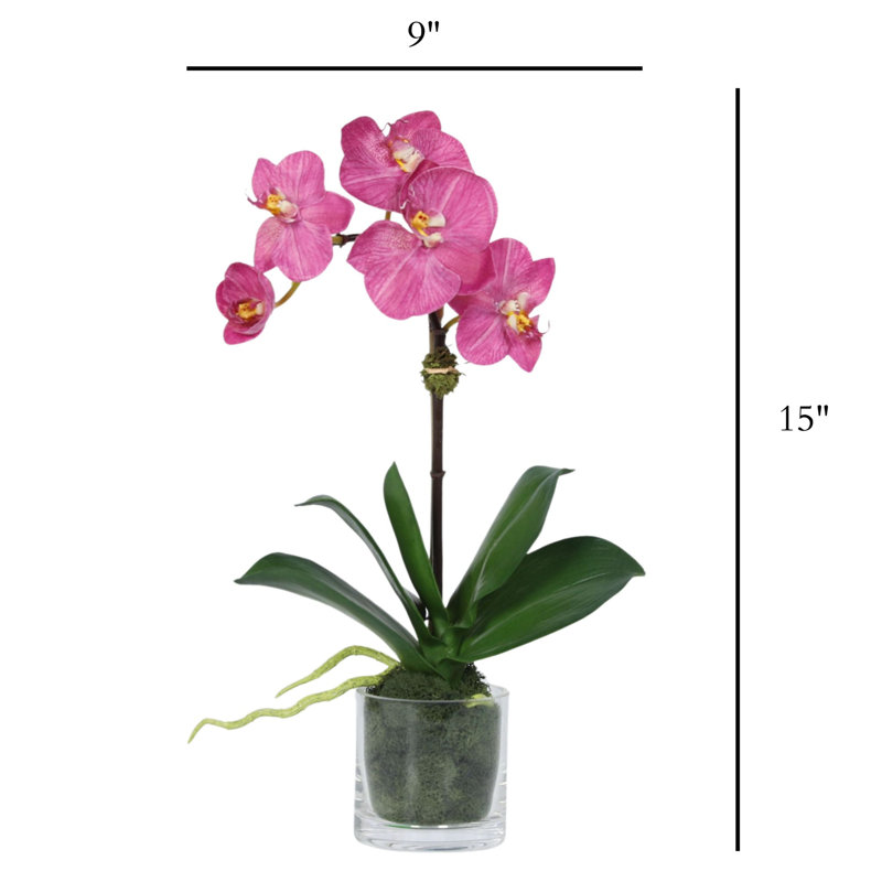 Orchid Arrangement In Glass Vase, Pink