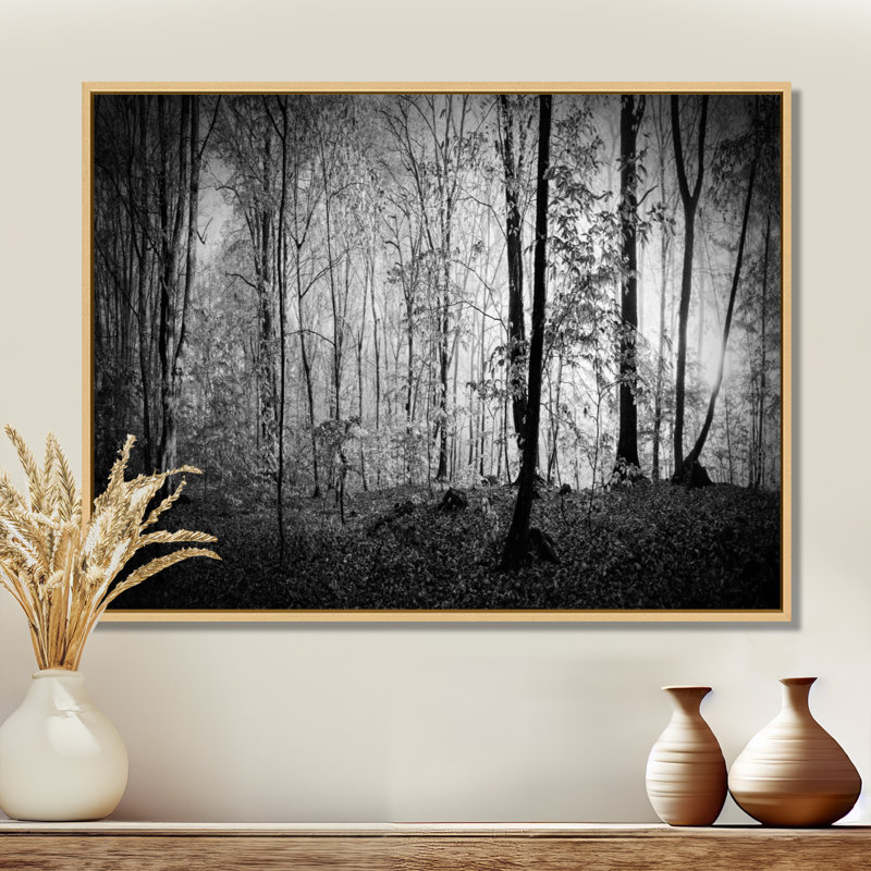 «Beautiful Forest Morning Panorama», reproduction, H 34 po x l 44 po, Cadre flottant érable
