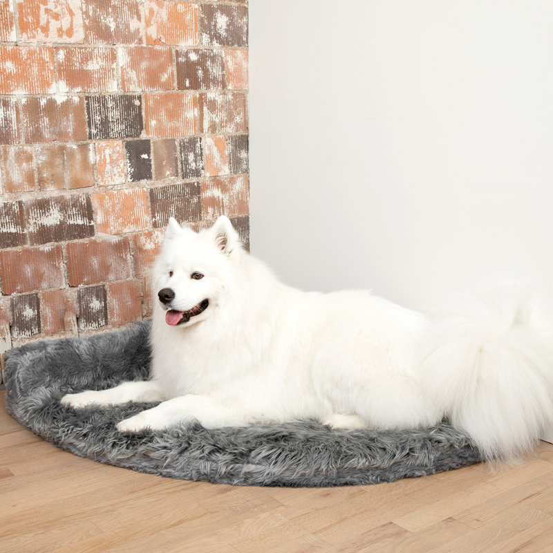 Lit d'angle pour chien en mousse à mémoire de forme Puprug, Gris anthracite, L 30 po x P 30 po x H 6 po