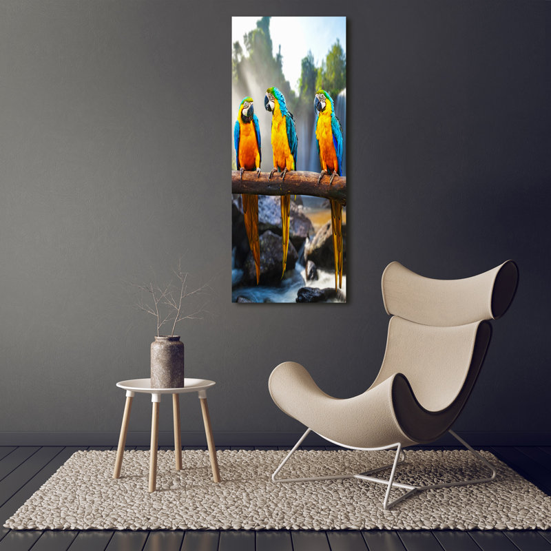 Macaw Parrots - Wrapped Canvas Print