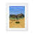 White Framed