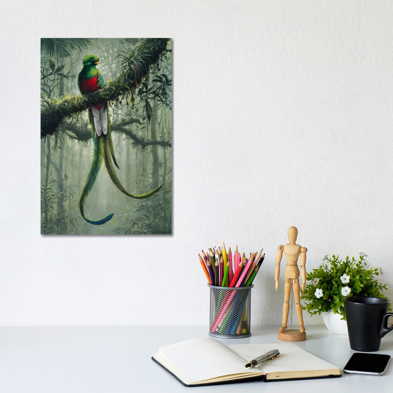 Resplendent Quetzal 2 by Harro Maass - Wrapped Canvas Print, 20.32 cm H x 30.48 cm W