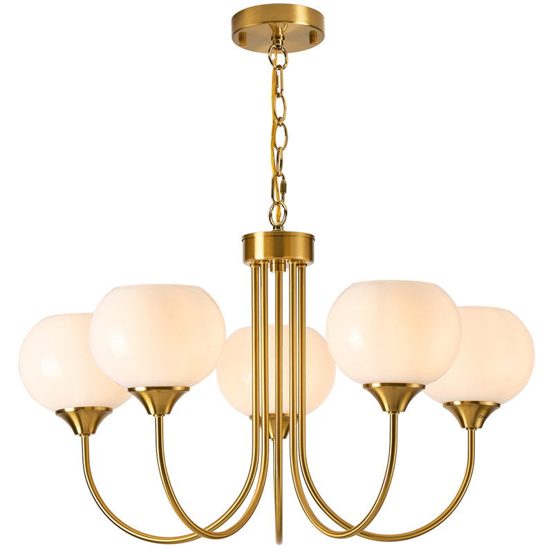 Luminaires de salle à manger 5 lumières Mid Century , Chaîne de suspension, Crème, 5 lumières
