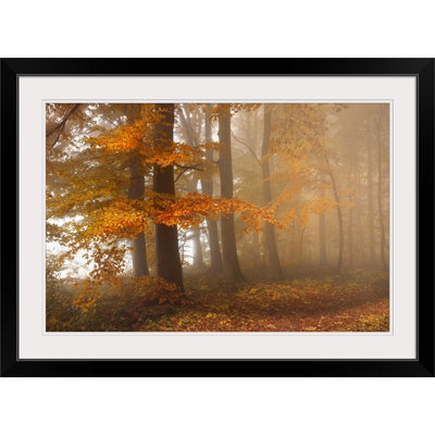 «Bord of the Woods» par Franz Schumacher, reproduction de photo de Straub
