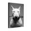 Animals Dog Holding Knife In Mouth Black And White-335487797