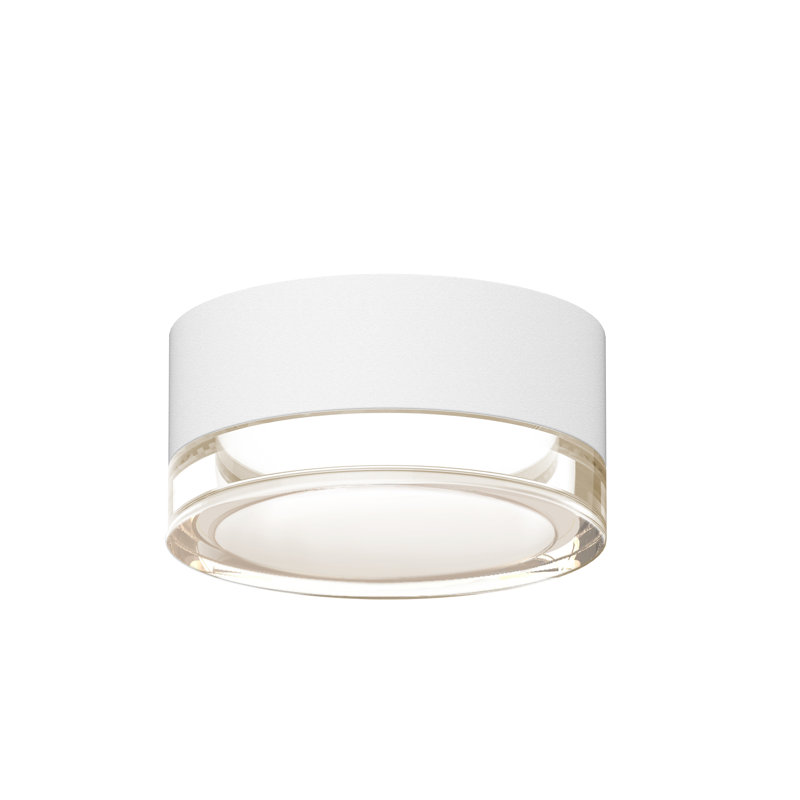 Reals LED Flush Mount, White, Clear